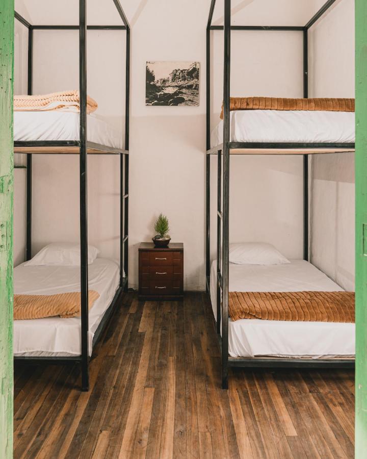 Wild Monkey Hostel Cuenca Buitenkant foto